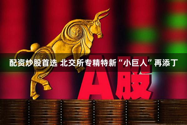 配资炒股首选 北交所专精特新“小巨人”再添丁
