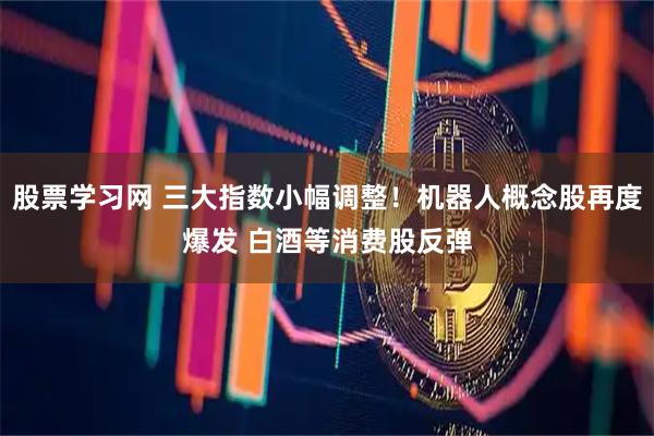 股票学习网 三大指数小幅调整！机器人概念股再度爆发 白酒等消费股反弹