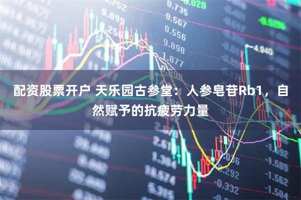 配资股票开户 天乐园古参堂：人参皂苷Rb1，自然赋予的抗疲劳力量